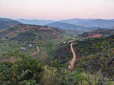 The valley below the coffee farm, all you can see are coffee plants